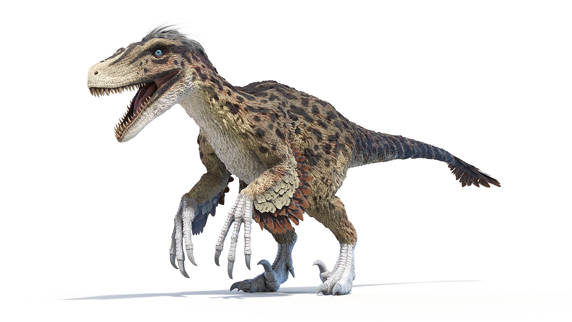 Dinopack XXL Static 3D model https://p.turbosquid.com/ts-thumb/ox/j0S7ab/sS/utahraptor0000/jpg/1623161186/1920x1080/fit_q87/c982a41d7ede3f516198f31239cc0c466c2638b8/utahraptor0000.jpg