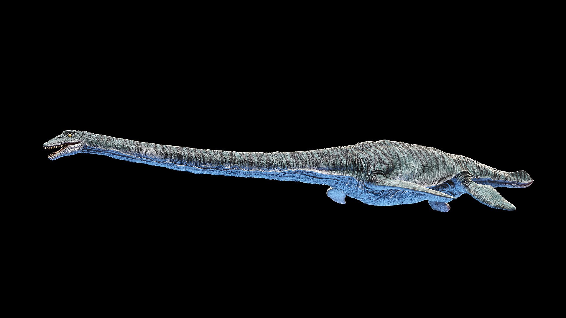 Dinopack XXL Static 3D model https://p.turbosquid.com/ts-thumb/ox/j0S7ab/tv/elasmosaurus0000/jpg/1623151524/1920x1080/fit_q87/f2e2c4160d211c59fc897ddd65349b9afd1002e9/elasmosaurus0000.jpg