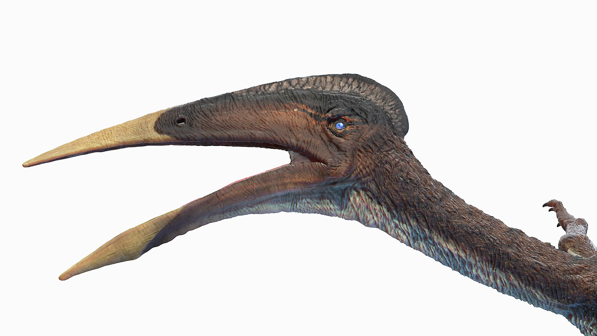 Dinopack XXL Static 3D model https://p.turbosquid.com/ts-thumb/ox/j0S7ab/zF/hazegopteryx0002/jpg/1623152351/1920x1080/fit_q87/ea09c4f89149a66af5c8ee624a6839b285d7e91e/hazegopteryx0002.jpg