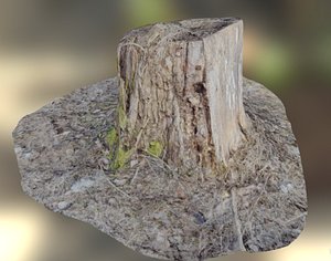 stump obj