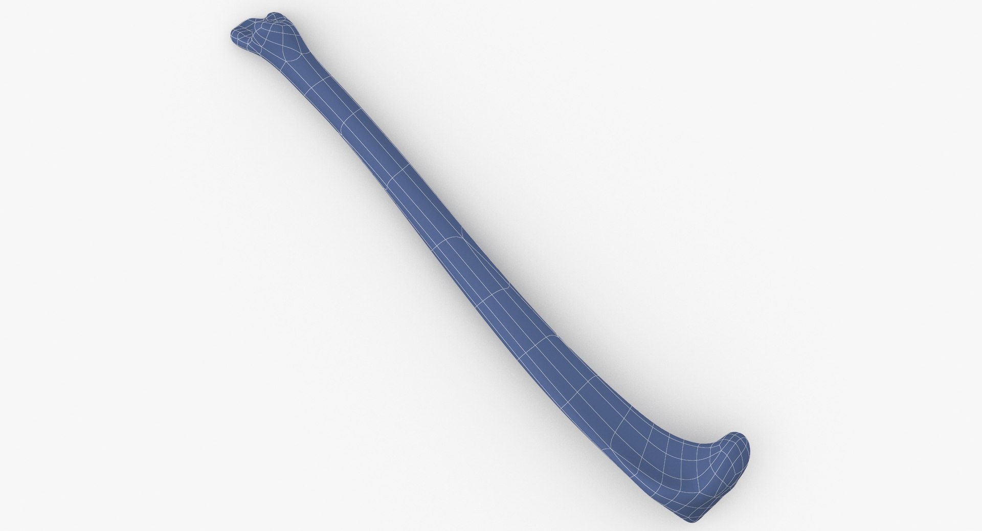 3D Model Domestic Cat Tibia Bone - TurboSquid 1588655
