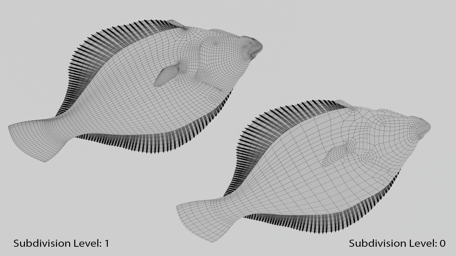 Flatfish Animated 3D Model - TurboSquid 2346300