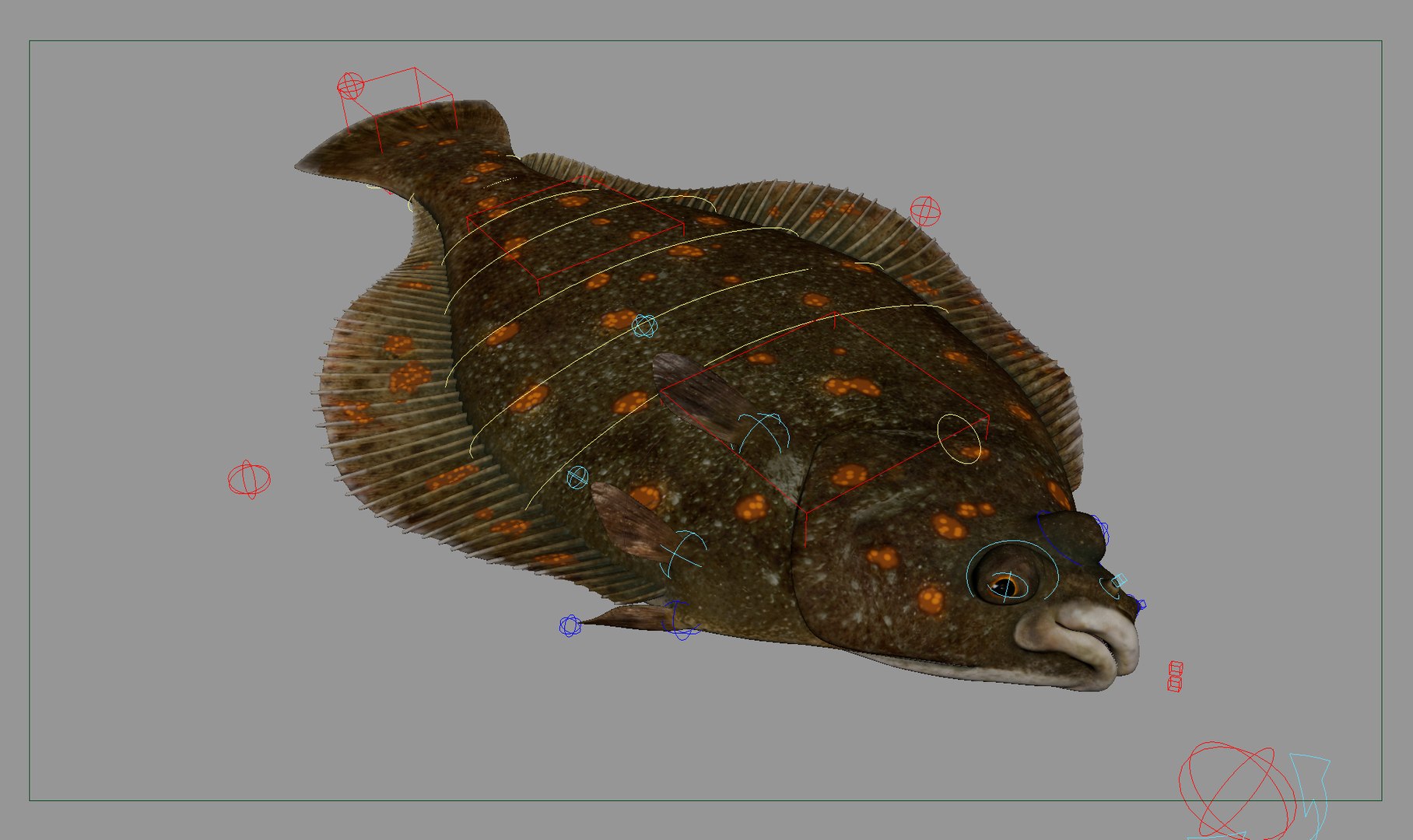 Flatfish Animated 3D Model - TurboSquid 2346300