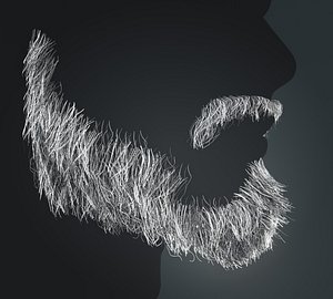 3D model Beard RealTime 9 Version 1
