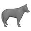 Wolf or Dog