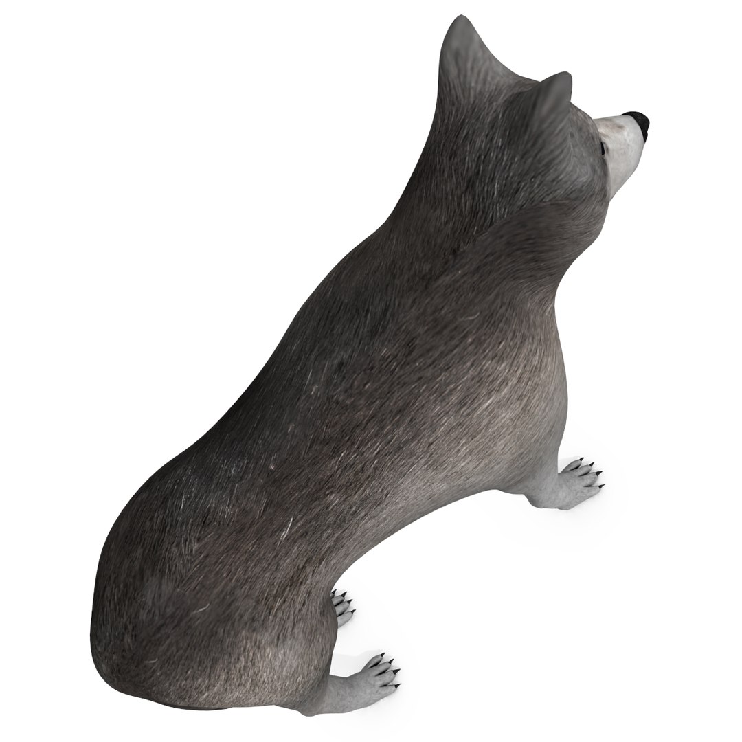 3d wolf dog https://p.turbosquid.com/ts-thumb/oy/6w2hYb/EFCkbBQt/picture1/png/1322861611/1920x1080/fit_q87/d8463c40ec27cb87340f0a525ab85cc856a20f48/picture1.jpg