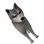 Wolf or Dog