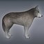 Wolf or Dog