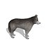 Wolf or Dog