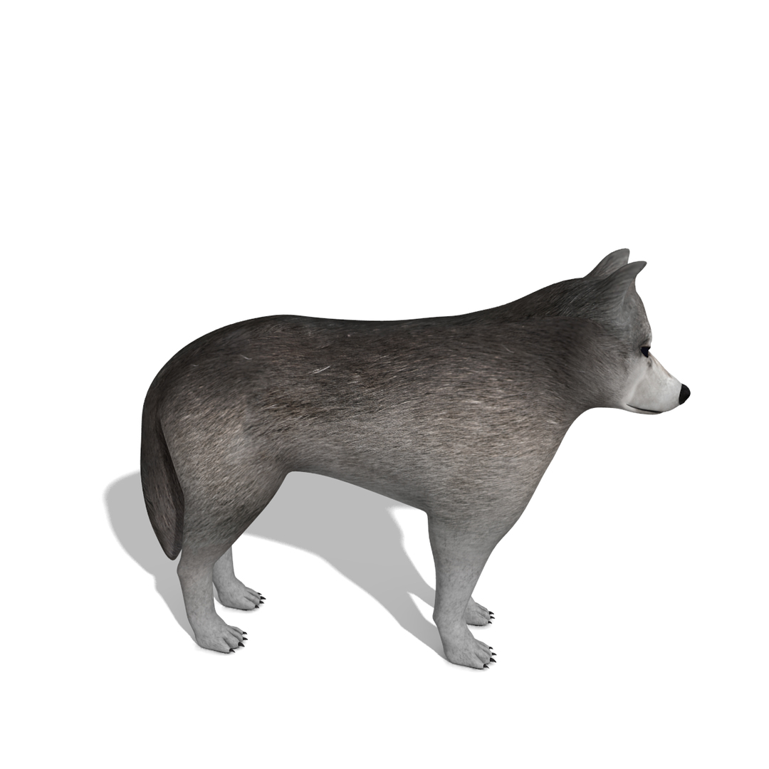 3d wolf dog https://p.turbosquid.com/ts-thumb/oy/6w2hYb/lmbd0frC/image/png/1322861997/1920x1080/turn_fit_q99/5aa5c888ad42340461b983c0a35bf709ace17385/image-1.jpg