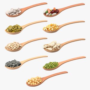 Wooden Spoons with Seeds Collection 2