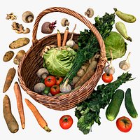 Basket with Vegetables Village Farm Food