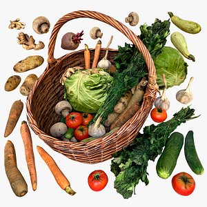 Basket with Vegetables Village Farm Food