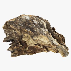 Tree Trunk Piece 13 3D model