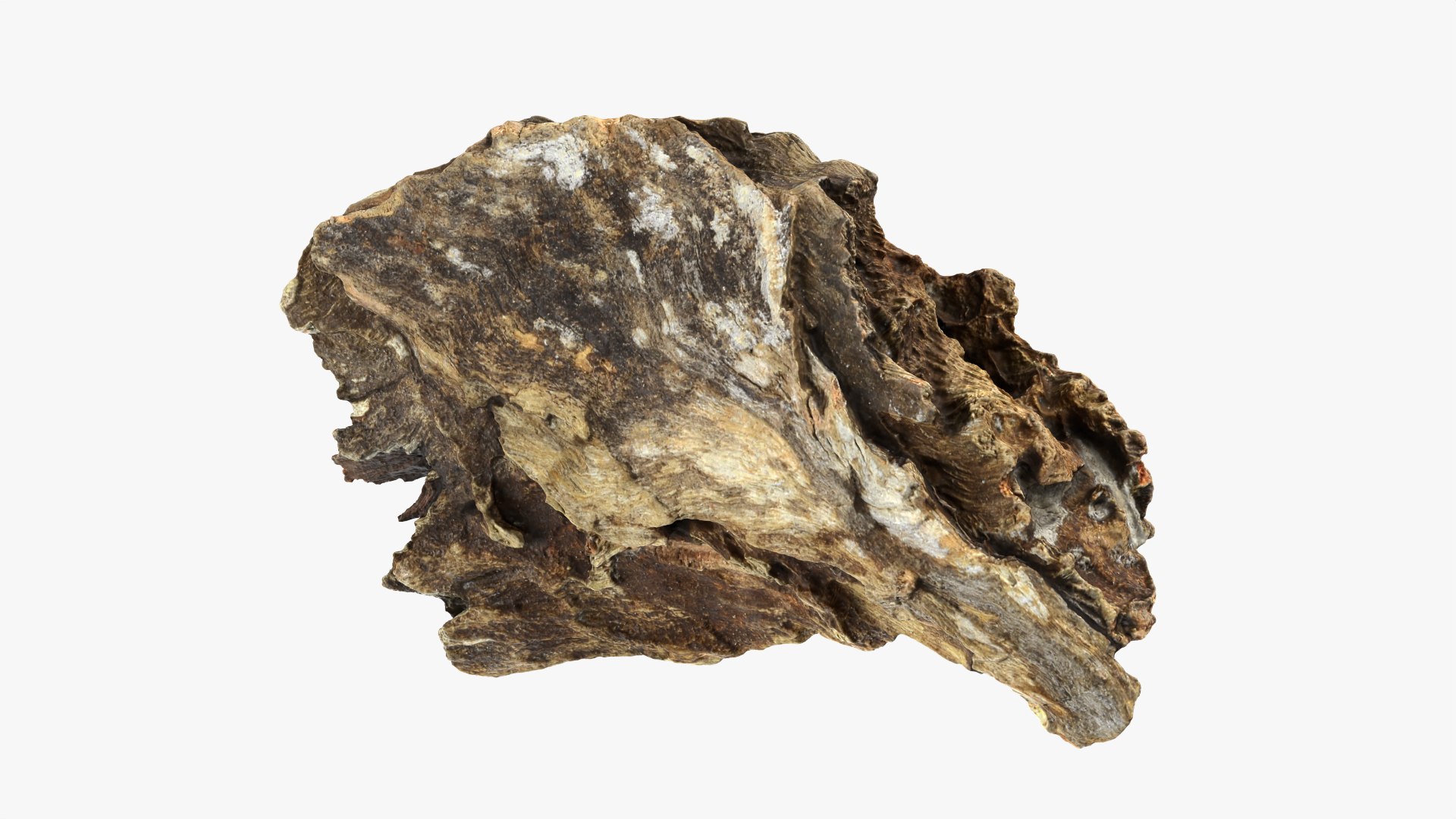 Tree Trunk Piece Collection 2 3D https://p.turbosquid.com/ts-thumb/oy/KelRqQ/XB/treetrunkpc13_0001/png/1782324946/1920x1080/fit_q87/324d5c60c19cddc919a66906f56b970312ed4388/treetrunkpc13_0001.jpg