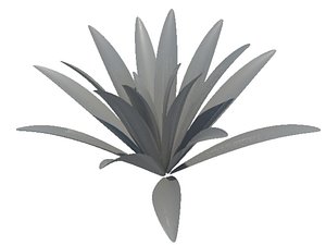 plant3