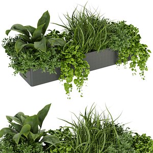 Collection plant vol 333 - indoor - leaf - monstera - banana-  cinema 4d - 3dmax - blender 3D