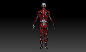Human Anatomy
