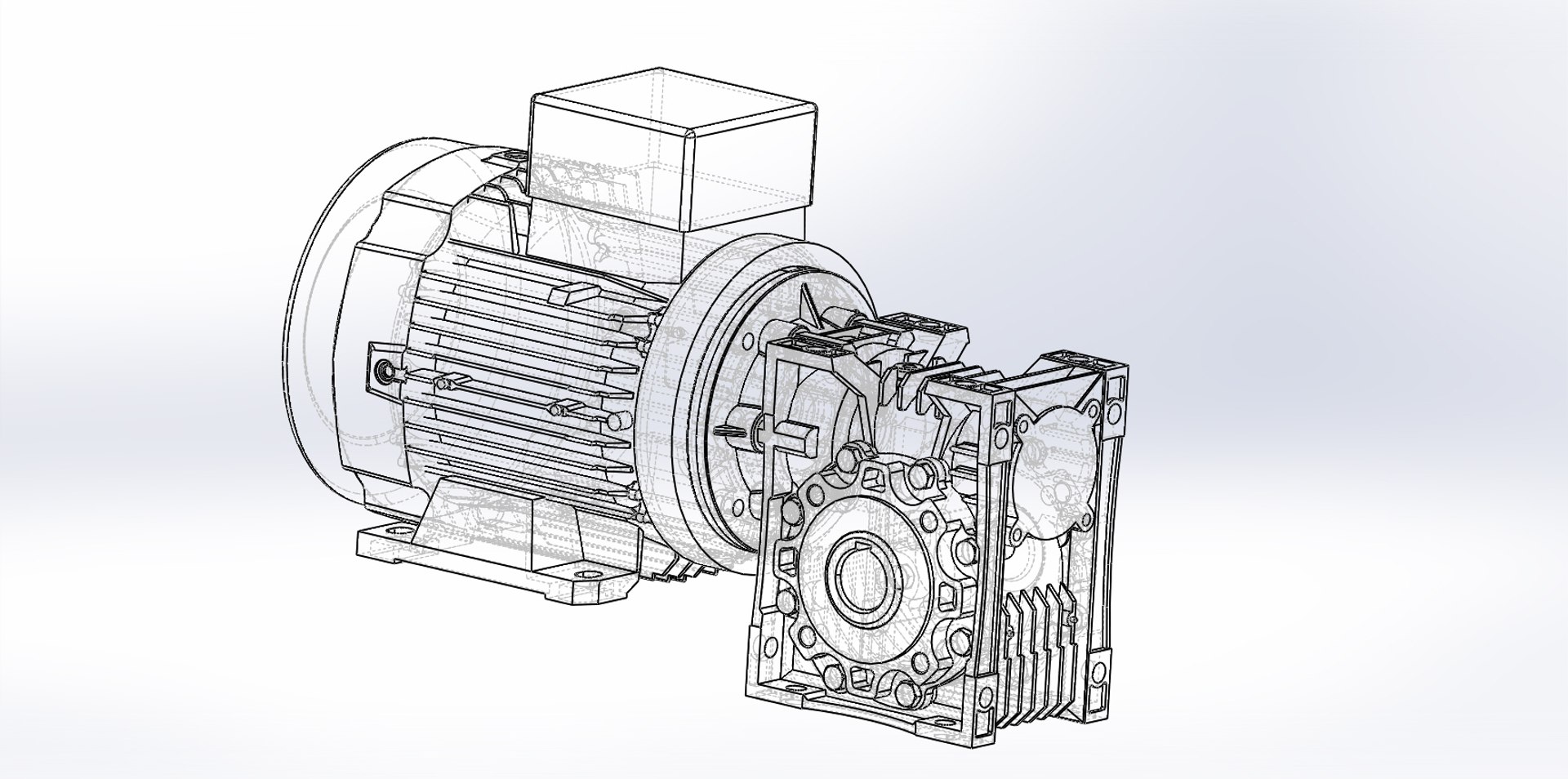 Max Worm Gear Motor