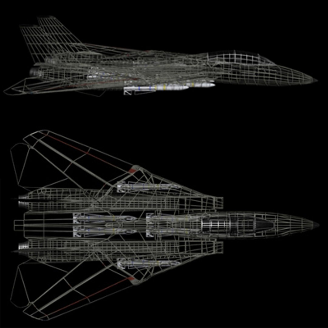 f14 tomcat aircraft tom 3d model https://p.turbosquid.com/ts-thumb/oy/ebzwMG/Mv3tz3CR/wirefrrame/jpg/1151890275/1920x1080/fit_q87/8b9fc10ec24d404a07f7327ae0c8522ee2313022/wirefrrame.jpg