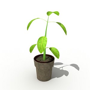 free max mode flower