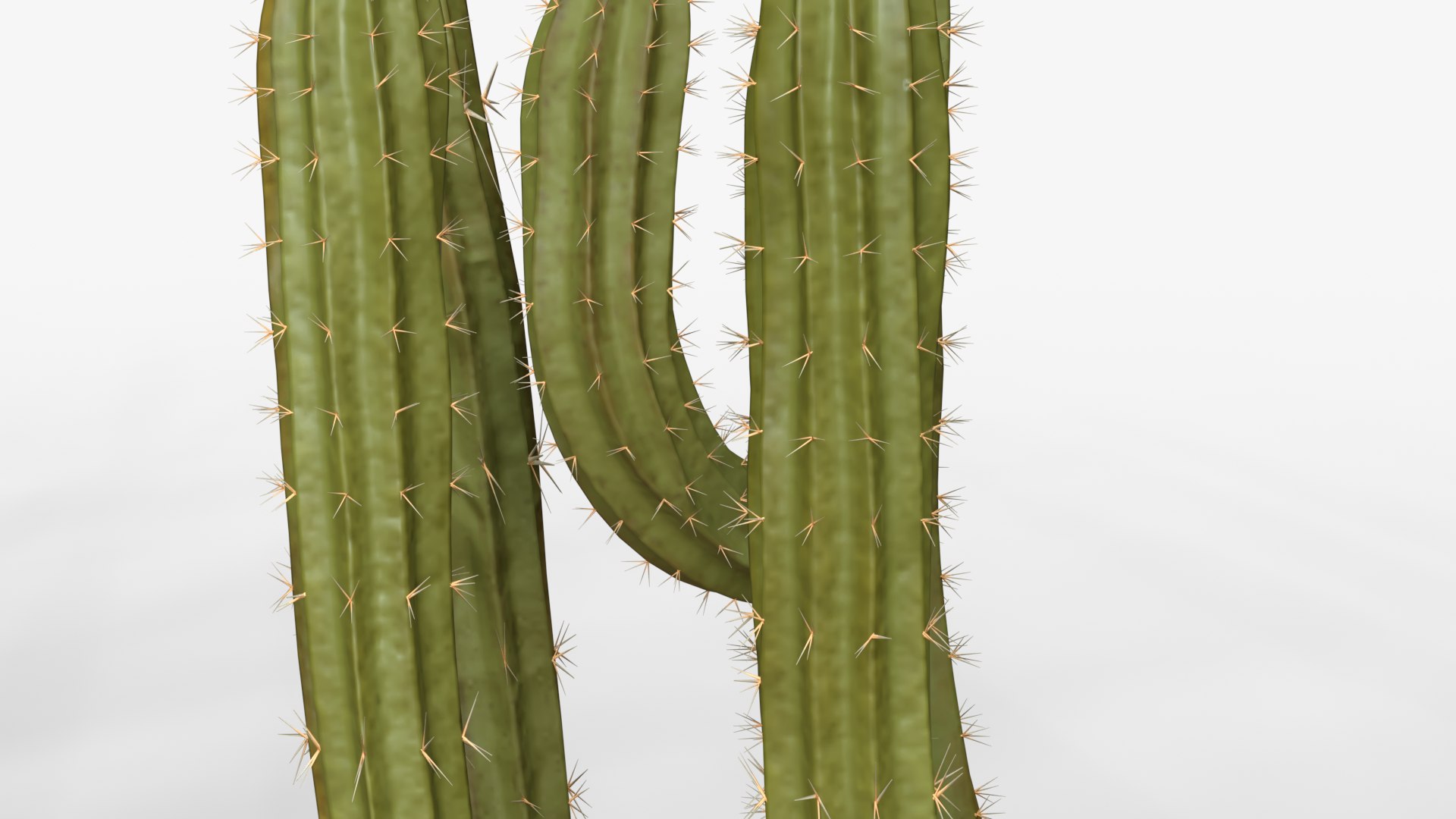 Desert Cactus Collection  Realistic 3D Botanical Pack 3D model https://p.turbosquid.com/ts-thumb/oz/1aSe3r/46/dc7/png/1777923708/1920x1080/fit_q87/0e5069001502203712336464ae8d89aa51a990ca/dc7.jpg
