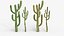 Collection Cactus du Désert Pack Botanique Réaliste 3D