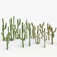 Desert Cactus Collection  Realistic 3D Botanical Pack
