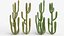 Collection Cactus du Désert Pack Botanique Réaliste 3D