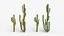 Collection Cactus du Désert Pack Botanique Réaliste 3D