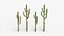 Collection Cactus du Désert Pack Botanique Réaliste 3D