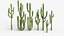 Collection Cactus du Désert Pack Botanique Réaliste 3D