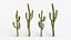 Collection Cactus du Désert Pack Botanique Réaliste 3D