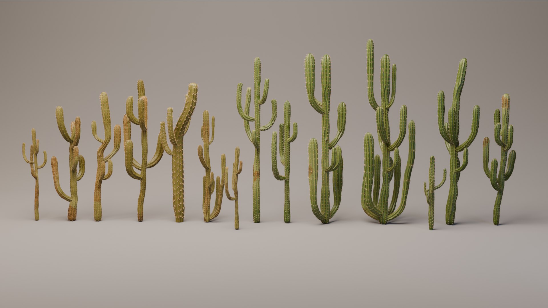 Desert Cactus Collection  Realistic 3D Botanical Pack 3D model https://p.turbosquid.com/ts-thumb/oz/1aSe3r/xl/b_render/png/1777923686/1920x1080/fit_q87/7df3a124db467535f12d41e77e0077d499f0c271/b_render.jpg