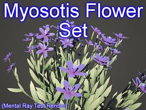 set myosotis flowers 3d model
