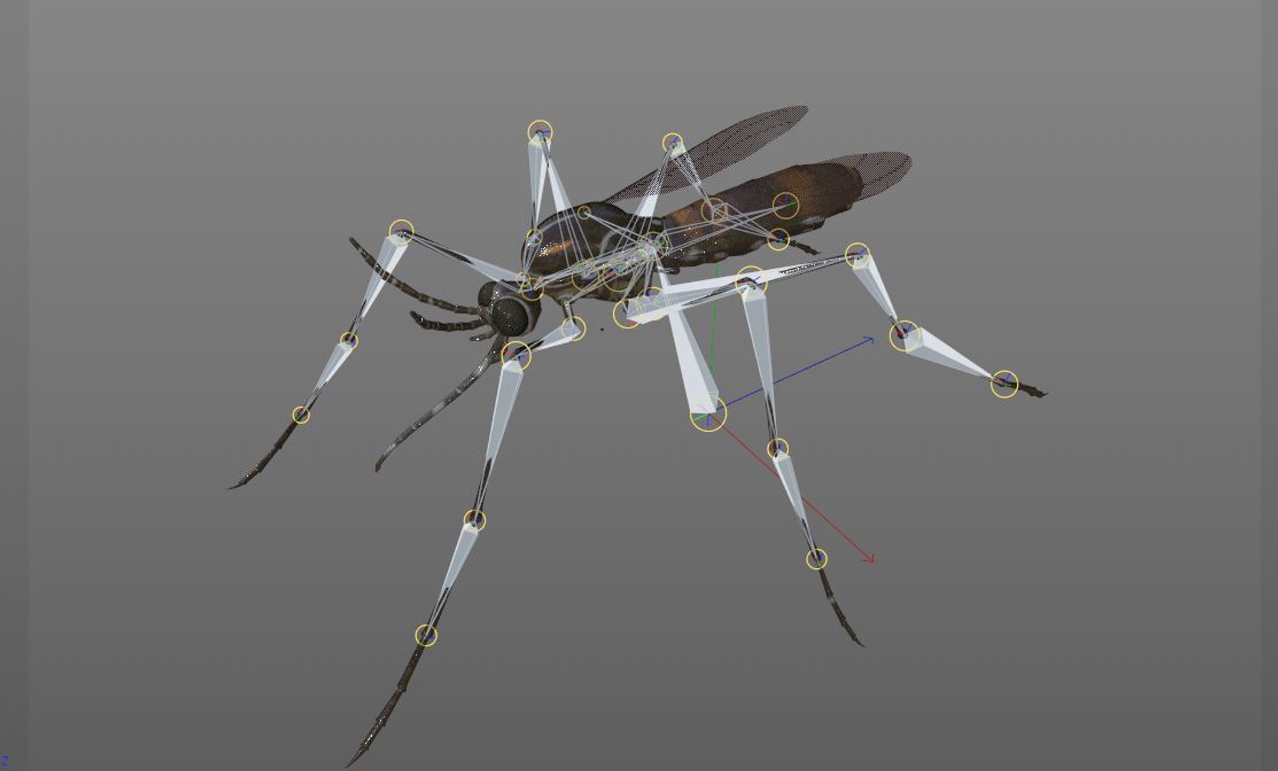 rigged 3D model https://p.turbosquid.com/ts-thumb/oz/MeWQnb/6z6hg18y/mosquito13/jpg/1586190595/1920x1080/fit_q87/fd2d23dbb66e505ed31d41bec662a14927334bd5/mosquito13.jpg