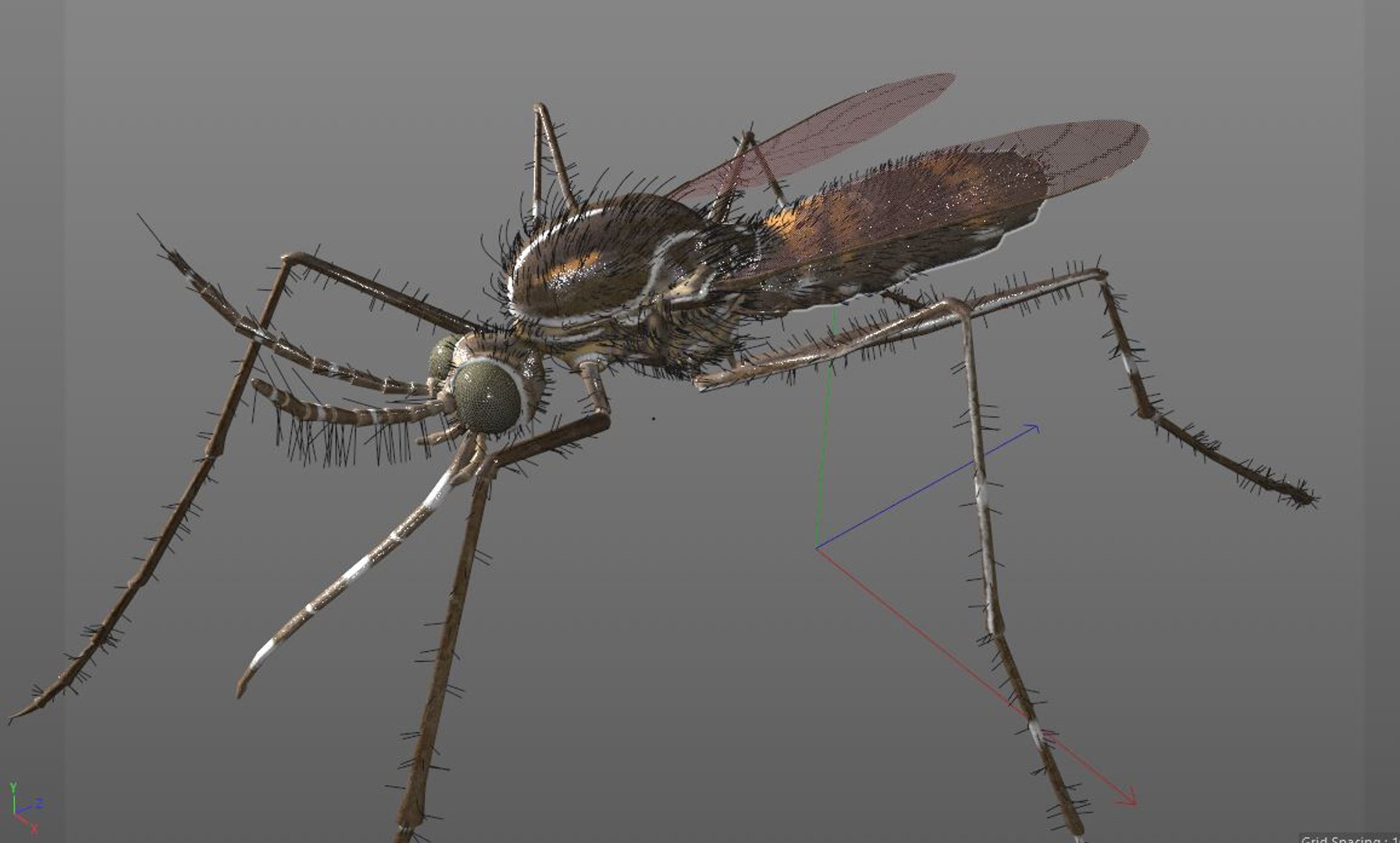 rigged 3D model https://p.turbosquid.com/ts-thumb/oz/MeWQnb/pNzNx3Me/mosquito10/jpg/1586190595/1920x1080/fit_q87/4d1bb5b729c55e9403741dd042302f71ed4b6d26/mosquito10.jpg