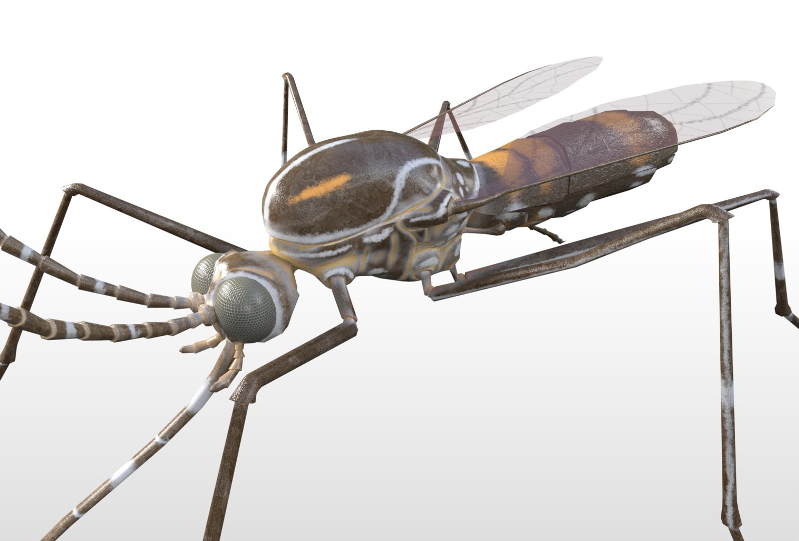 rigged 3D model https://p.turbosquid.com/ts-thumb/oz/MeWQnb/vbOHkRGU/mosquito12/jpg/1586190595/1920x1080/fit_q87/63b00673a229bc3eb87daf8033aaf1dde9288455/mosquito12.jpg