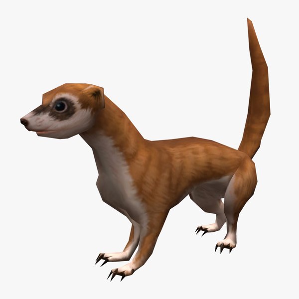 Low Poly Animated Weasel 3d 모델 Turbosquid 2043034