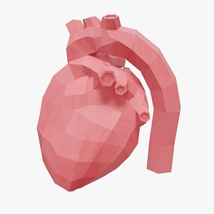 Heart 3D model