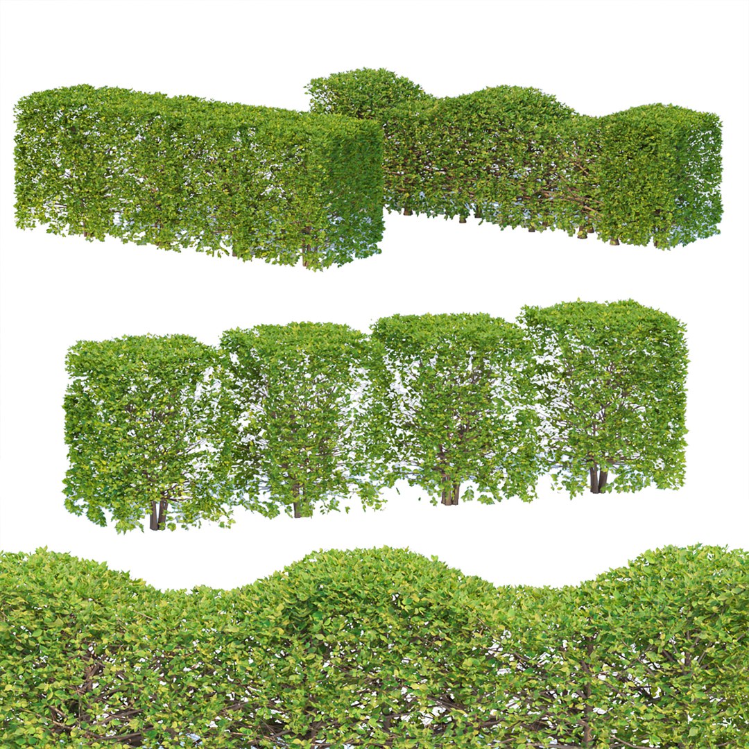 bush collection vol 38 3D model https://p.turbosquid.com/ts-thumb/oz/fUGs8u/E3/1/jpg/1661610056/1920x1080/fit_q87/04c801d6b19c3435f3b024c839833d4e3bd3e64d/1.jpg