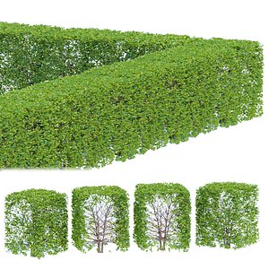 bush collection vol 38 3D model
