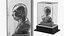Bust of President Putin under Glass Display