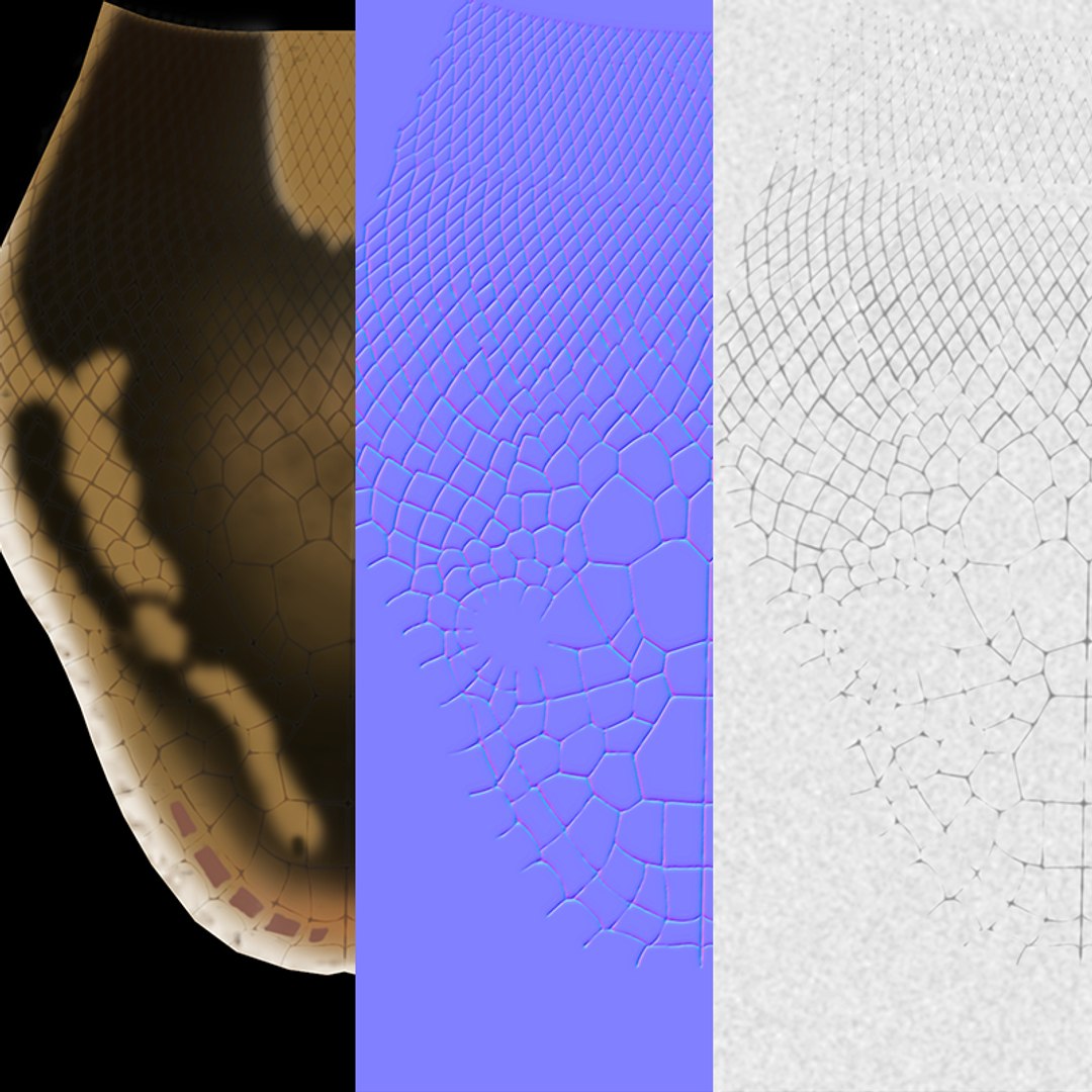 Pied Ball Python 3d Model