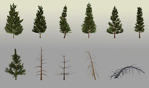 coniferous pine trees lod model
