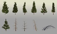 Low-poly Realistic Collection Coniferous Pines Trees with LODS