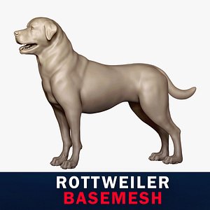 3D model Rottweiler Base Mesh 3D model