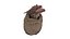 Dragon Head in Bag