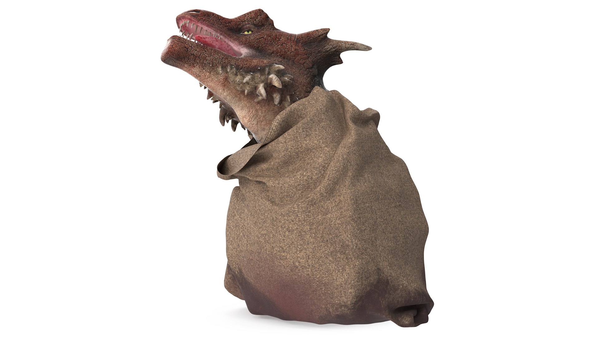 Dragon Head in Bag 3D model preview