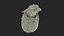 Dragon Head in Bag